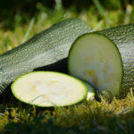 Zucchini Zip