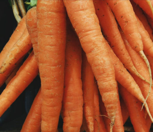 Keep calm and Carrot on.