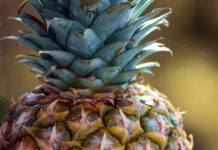 “Be a pineapple: Stand tall, wear a crown, and be sweet on the inside.”