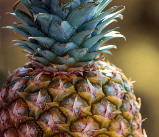 “Be a pineapple: Stand tall, wear a crown, and be sweet on the inside.”
